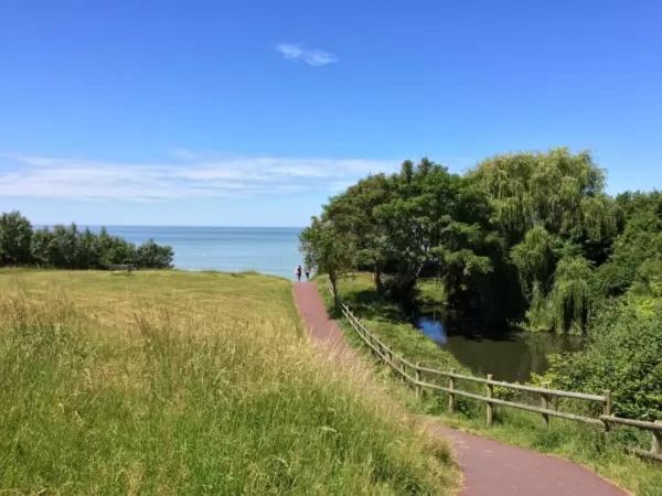 Studio Vue Mer A 2 Min De La Plage Villerville Zewnętrze zdjęcie